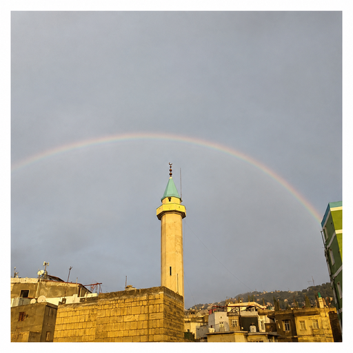 شعار مسجد البدوي