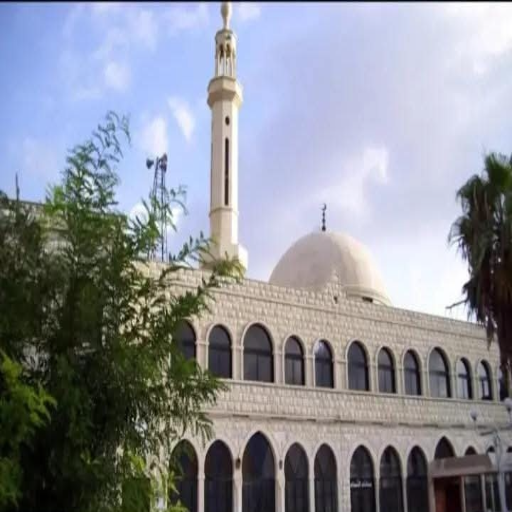 شعار مسجد مزبود/ الساحة
